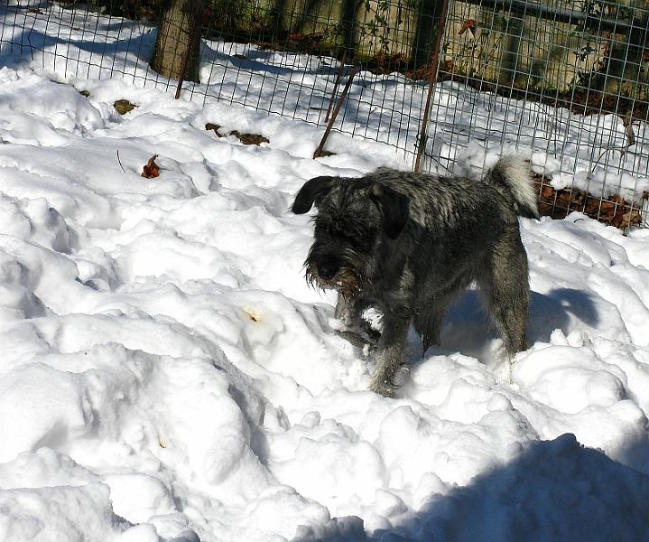 foto_inverno2010 f.jpg - Ti sfido!